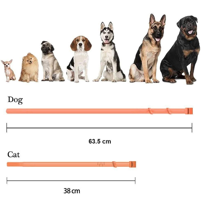 Azura | Flea & Tick Protection Collar for Dogs & Cats