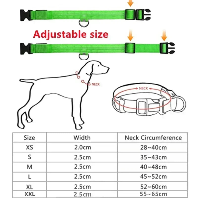 Azura | LUXPETS GlowSafe LED Dog Collar | Illuminated & Rechargeable | Adjustable & Waterproof | Anti-Loss at Night