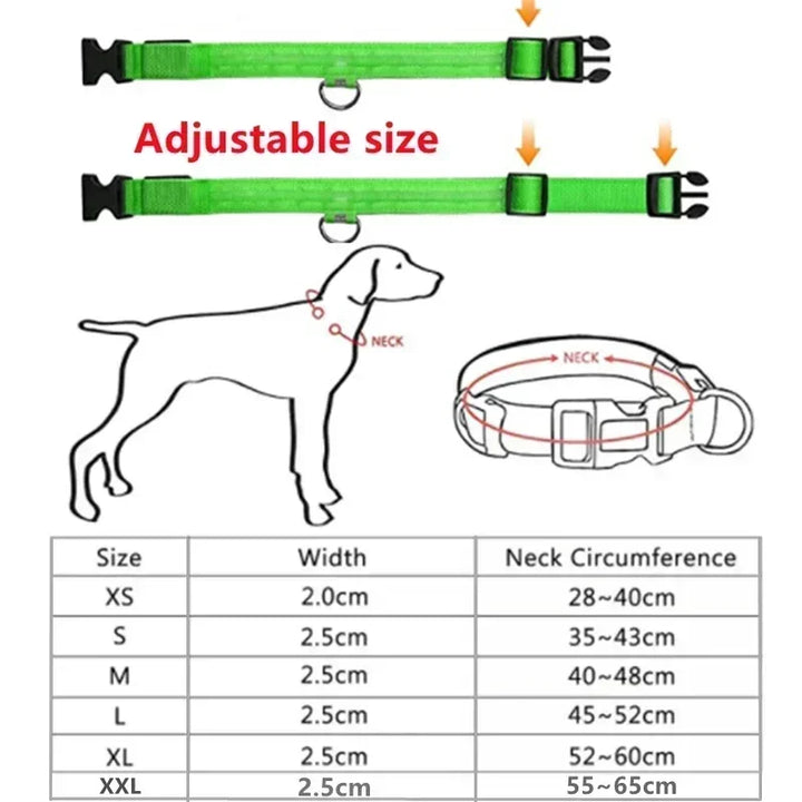 Azura | LUXPETS GlowSafe LED Dog Collar | Illuminated & Rechargeable | Adjustable & Waterproof | Anti-Loss at Night