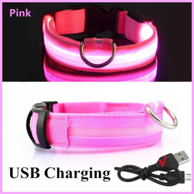 Azura | LUXPETS GlowSafe LED Dog Collar | Illuminated & Rechargeable | Adjustable & Waterproof | Anti-Loss at Night