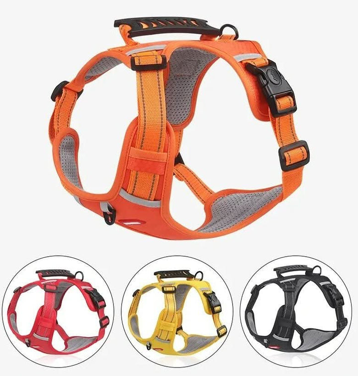 Azura | anti-pull dog harness for pain-free walks