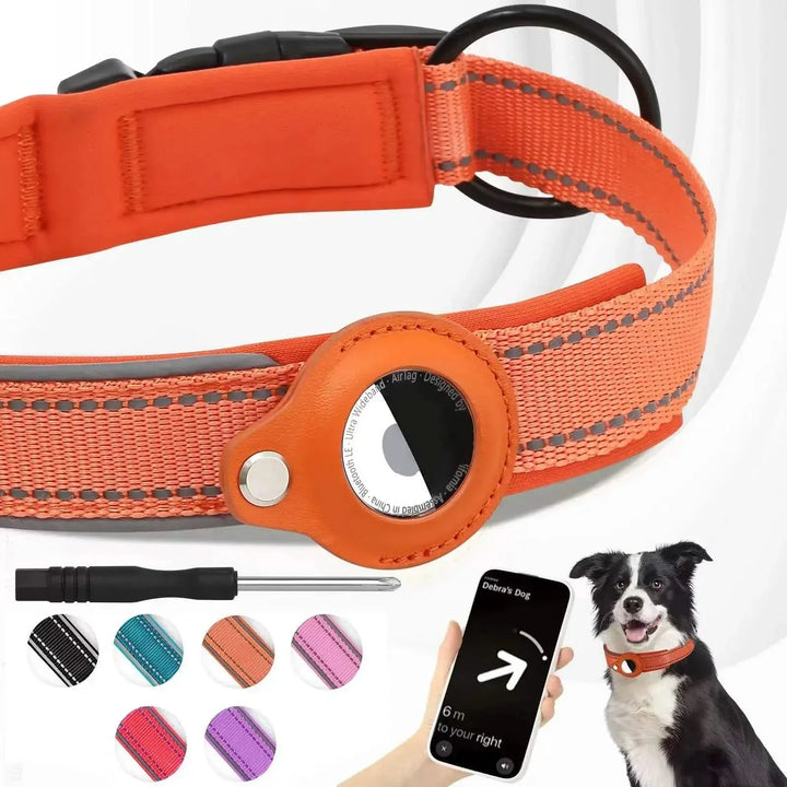 Azura | LEAZO - AirTag Dog Collar