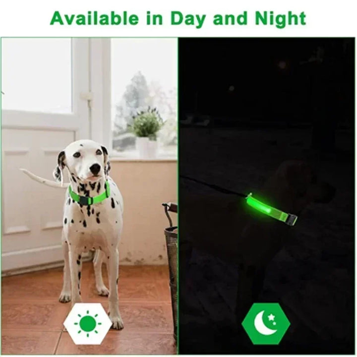 Azura | LUXPETS GlowSafe LED Dog Collar | Illuminated & Rechargeable | Adjustable & Waterproof | Anti-Loss at Night