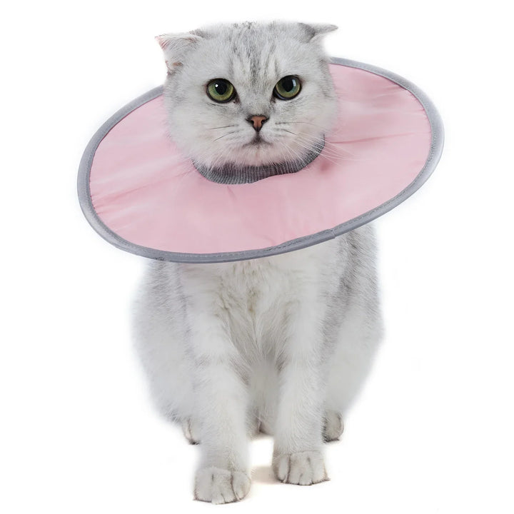 Cat protection collar soft & comfortable Azura