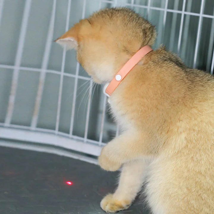 Freesthetic Laser Collar for Cats Azura