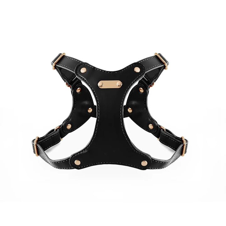 Adjustable Leather Dog Harness with Custom Engraving Azura