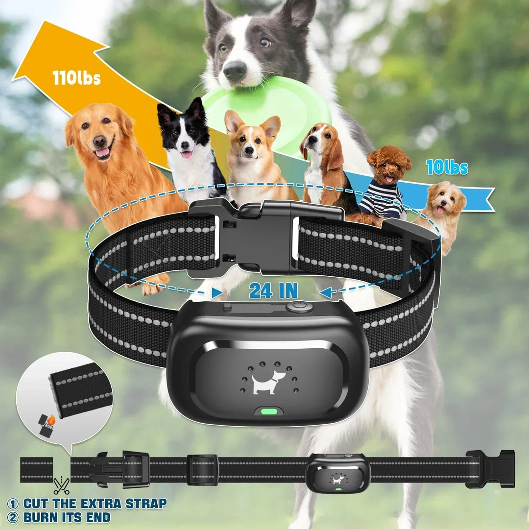Azura | Dog Training Collar with Remote – Shock Lock, Sound & Vibration Modes, Waterproof, 1600ft Range