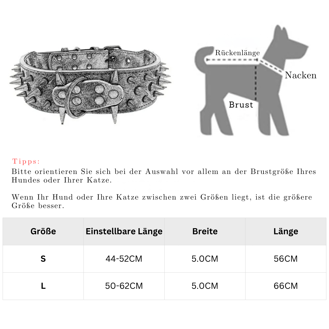 Dog collar with studs for large dogs Azura