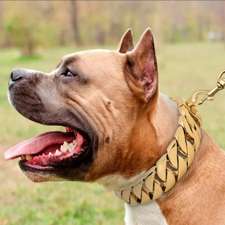 Azura | Strength Neck Metal Dog Collar – Sturdy Stainless Steel Collar for Large Dogs
