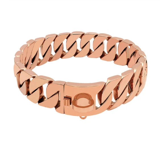 Azura | Strength Neck Metal Dog Collar – Sturdy Stainless Steel Collar for Large Dogs