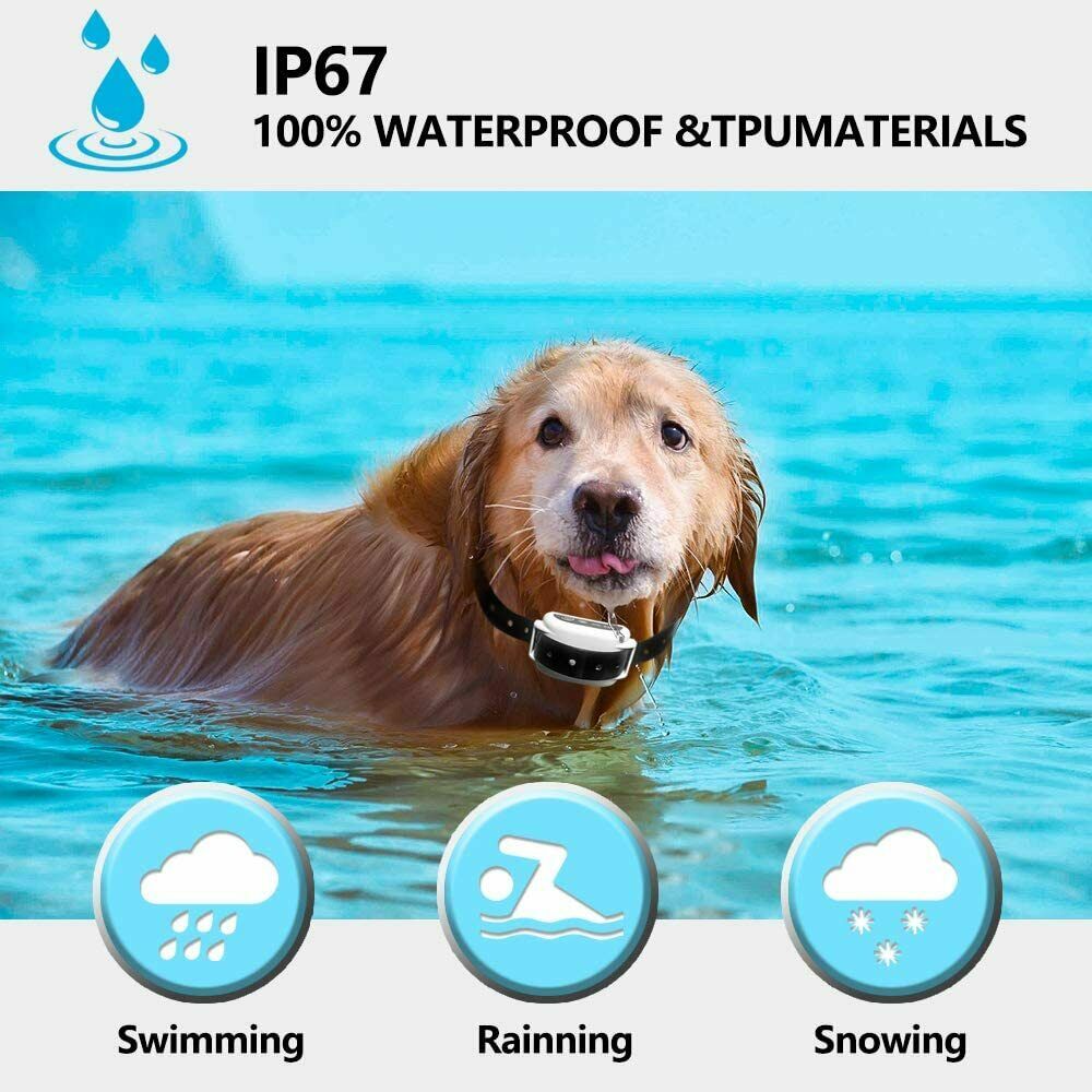 Azura | Invisible Wireless Dog Fence With Shock Collars