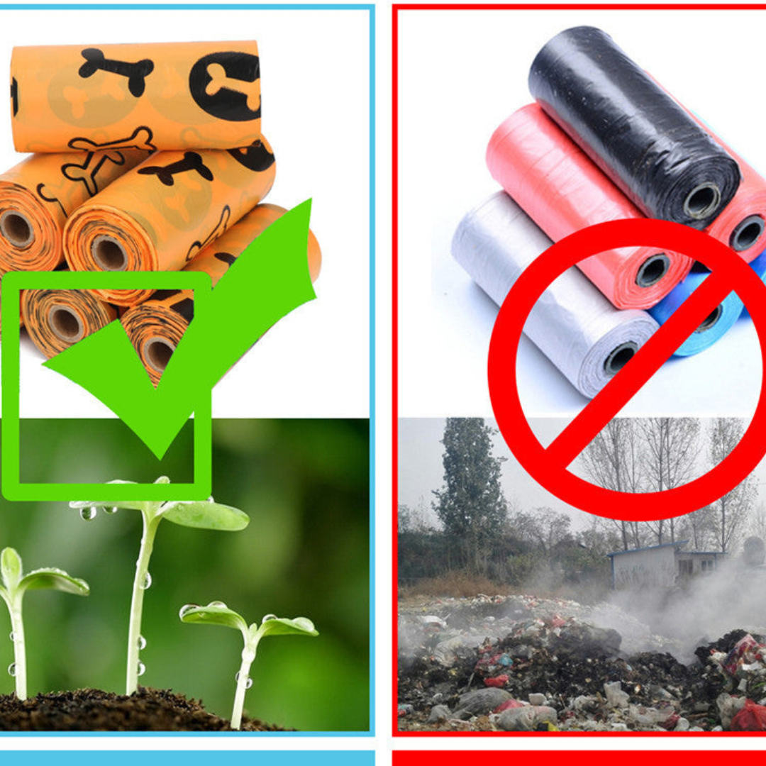 Eco-friendly Poop Bags with Convenient Dispenser Azura