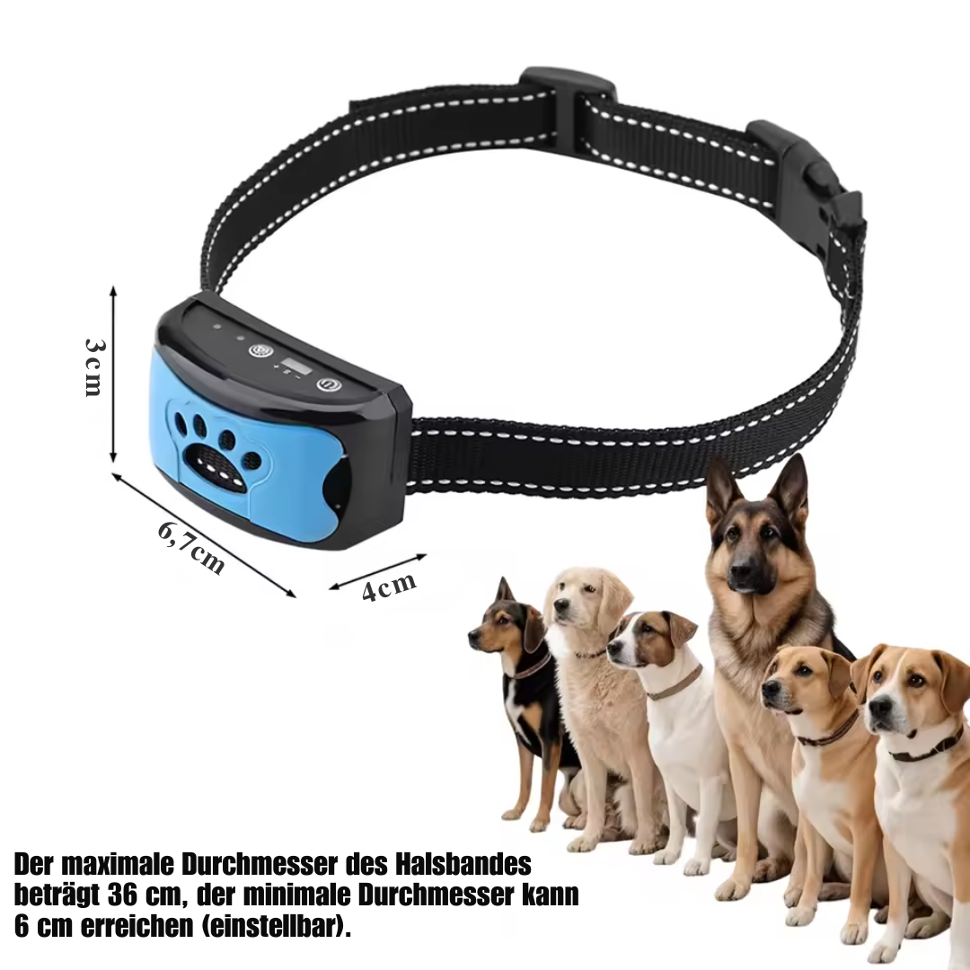 Anti Bell Collar for Dogs waterproof with sound and 7 vibration levels Azura