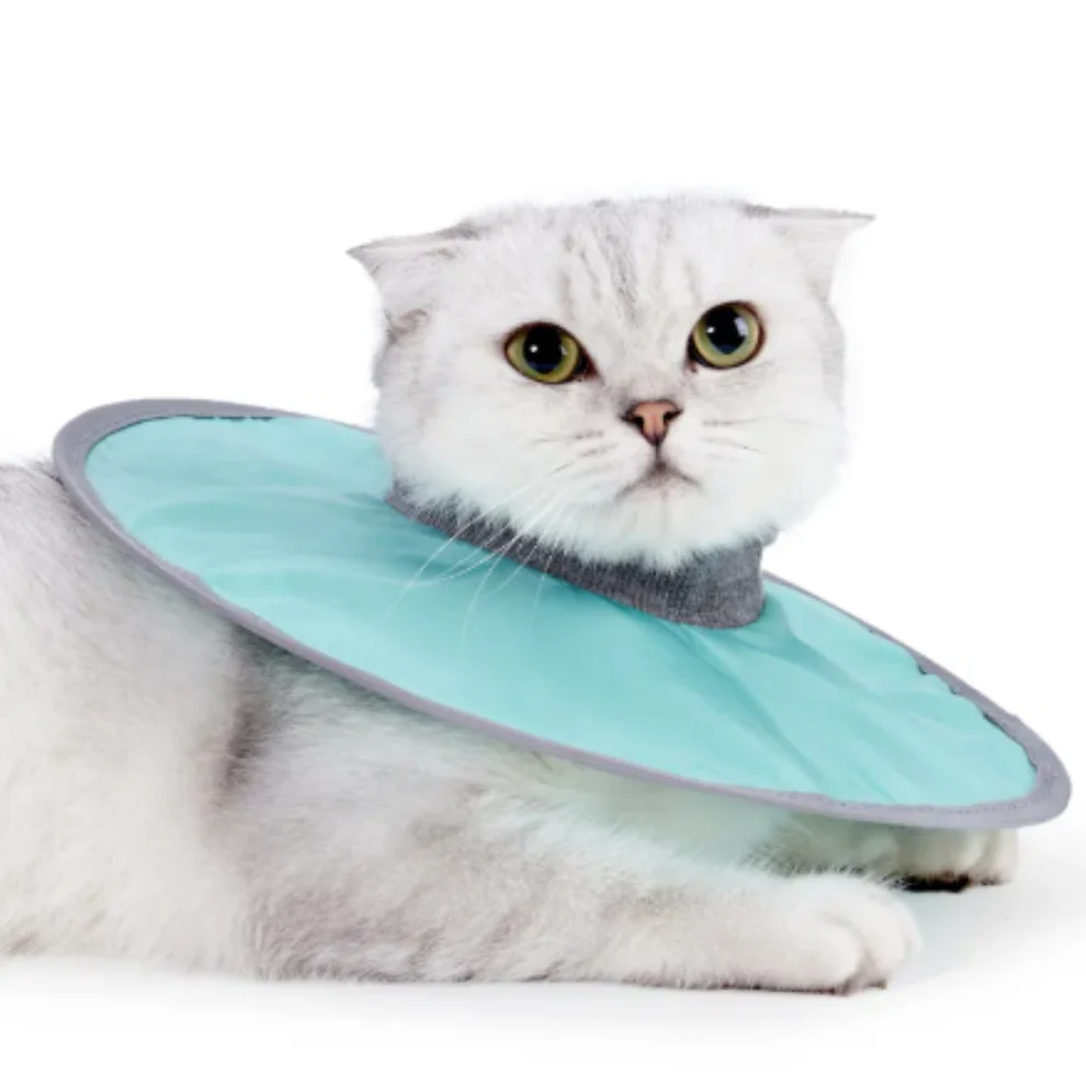 Cat protection collar soft & comfortable Azura