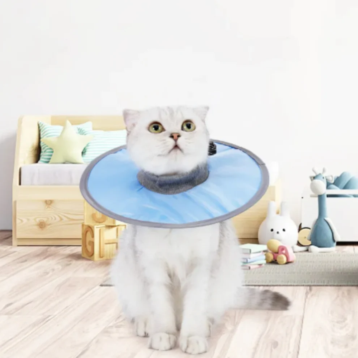 Cat protection collar soft & comfortable Azura