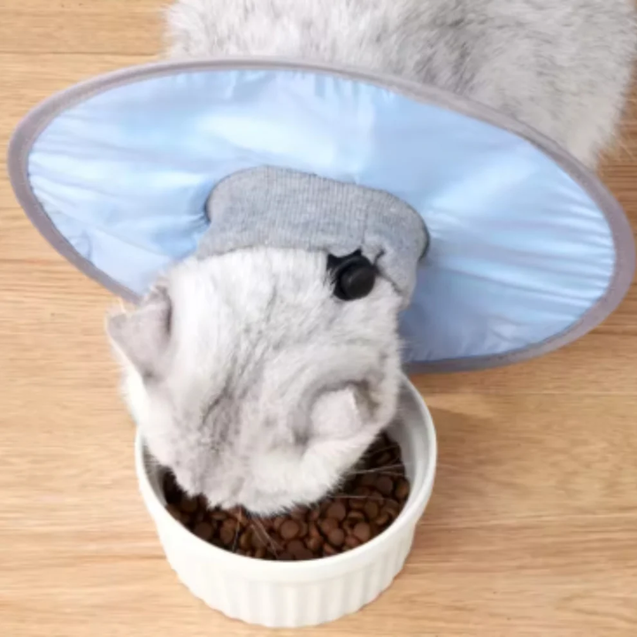 Cat protection collar soft & comfortable Azura