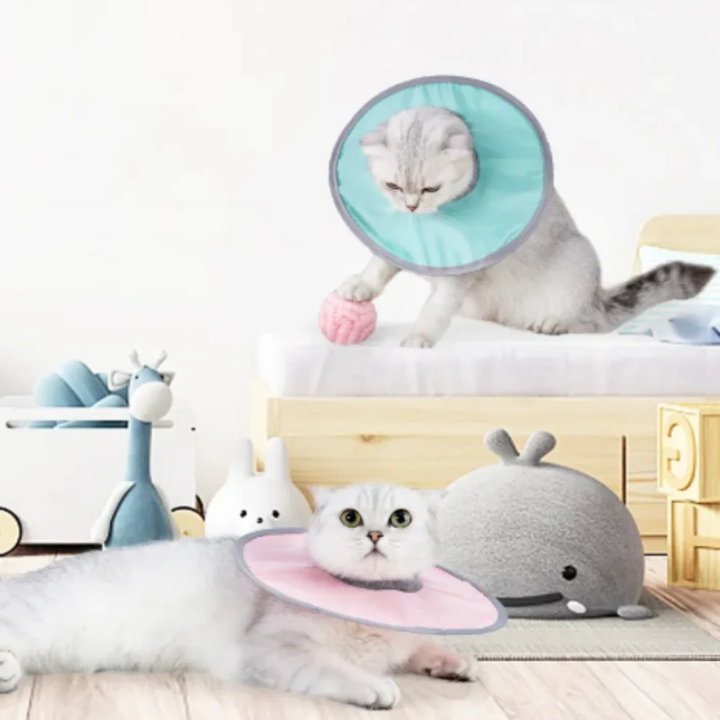 Cat protection collar soft & comfortable Azura