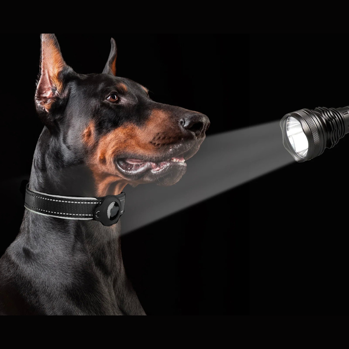 Azura | LEAZO - AirTag Dog Collar