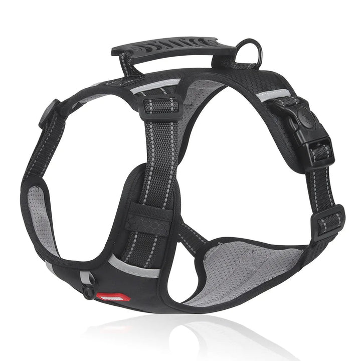 Azura | Anti-Pull Dog Harness - FlexiFit