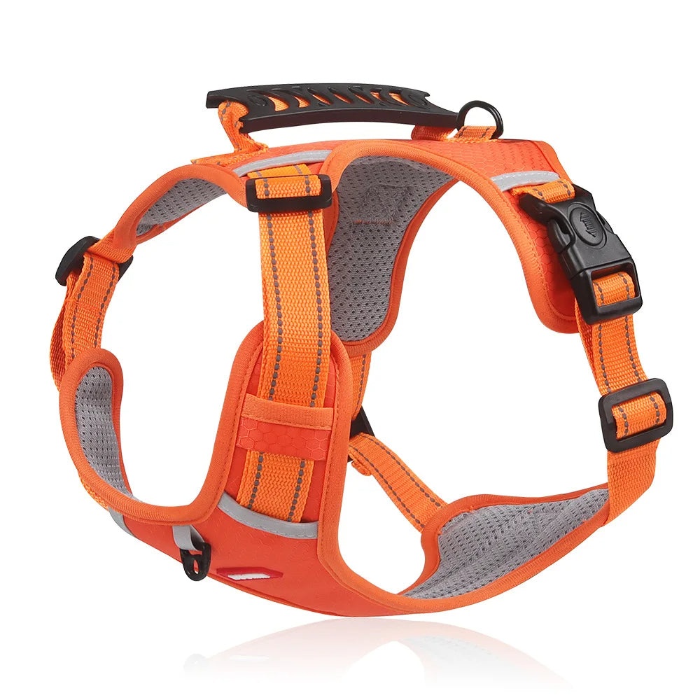 Azura | Anti-Pull Dog Harness - FlexiFit
