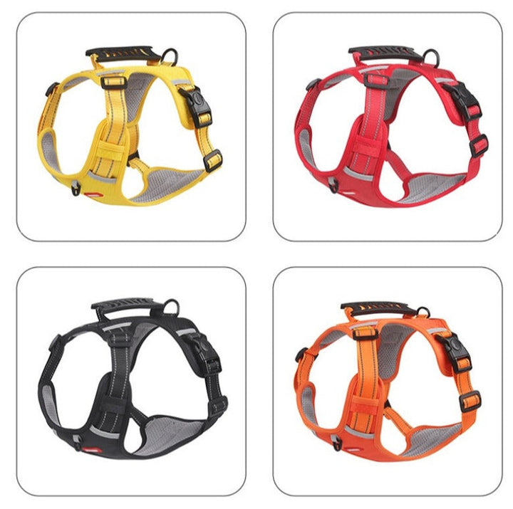 Azura | Anti-Pull Dog Harness - FlexiFit