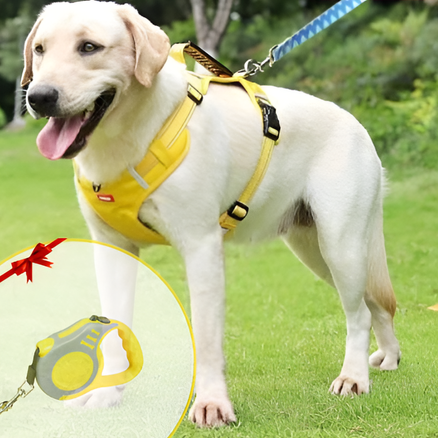 Azura | Anti-Pull Dog Harness - FlexiFit
