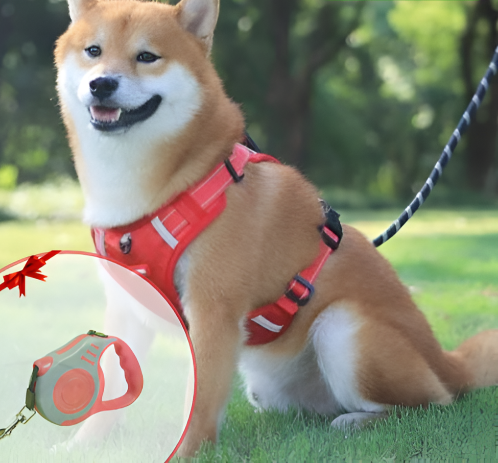 Azura | Anti-Pull Dog Harness - FlexiFit