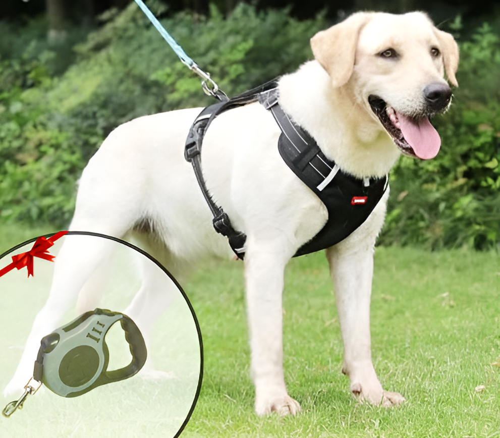 Anti-Trek Dog Harness - FlexiFit Azura