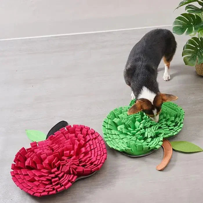 AppleForage •  Dog Snuffle Mat