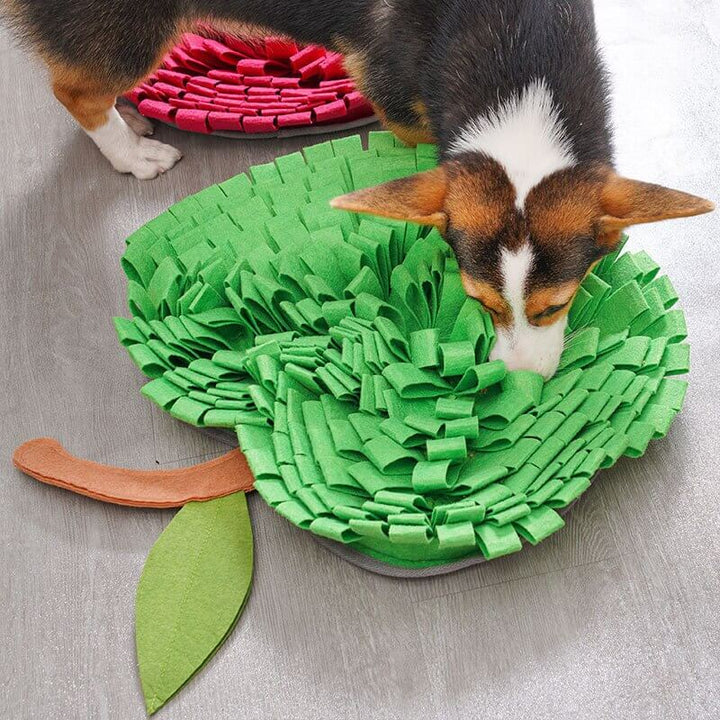 AppleForage •  Dog Snuffle Mat