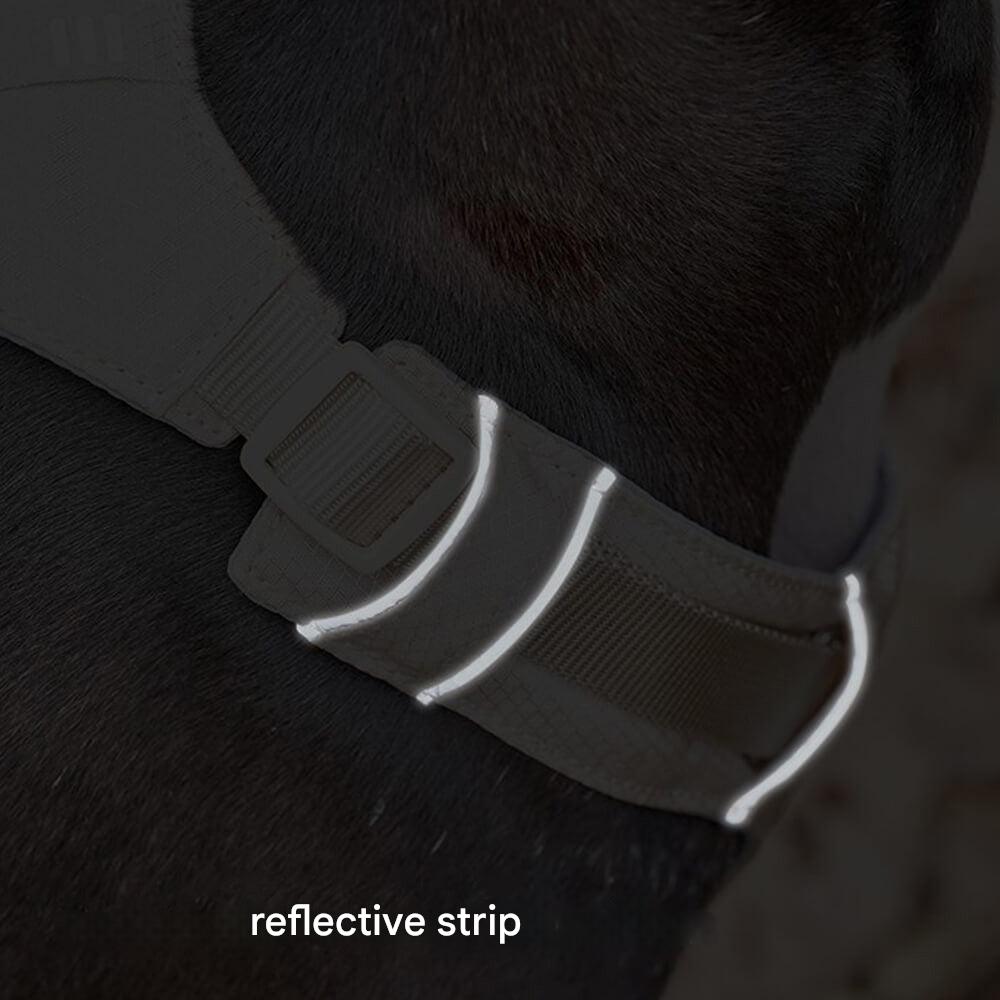 AquaCool - Anti-Pull Dog Harness with Multi-Functional Leash Azura