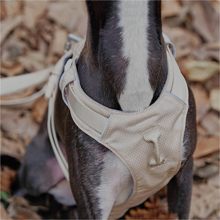 AquaCool - Anti-Pull Dog Harness with Multi-Functional Leash Azura