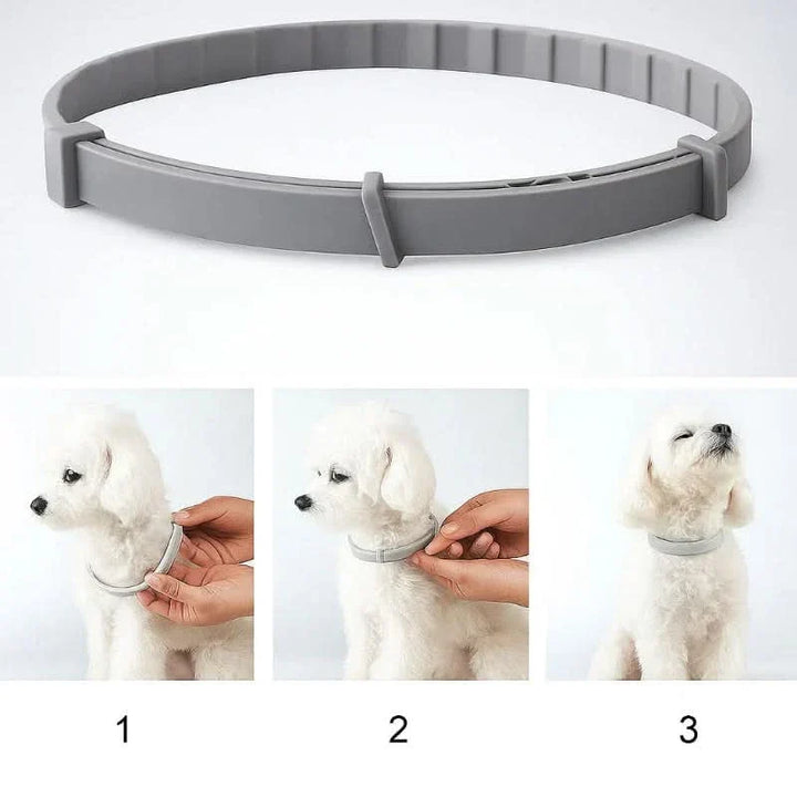 Azura | FLASHIELD COLLAR – Herbal flea & tick protection collar for dogs & cats