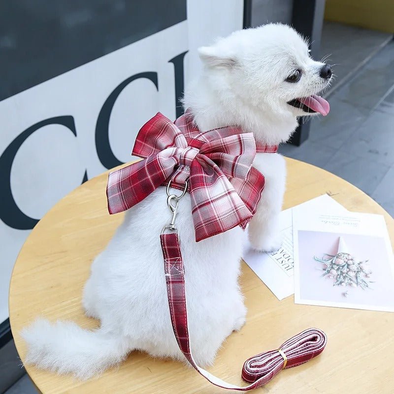 Azura | AURÉLIEN Harness – Adjustable Dog Harness with Stylish Bow Design
