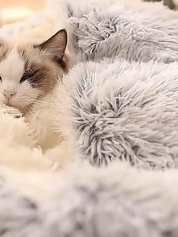 Azura | Cozy Cave Pet Bed | Calming & Comfortable Dog Bed for Deep Relaxation