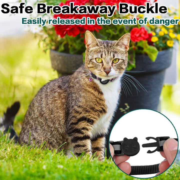 Azura | Stay Connected: pet locator collar