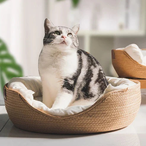 Azura | Bamboo Bed