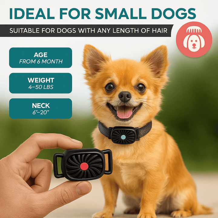 Azura | BarkLess Nano – Gentle Anti-Bark Collar for Puppies & Small Dogs