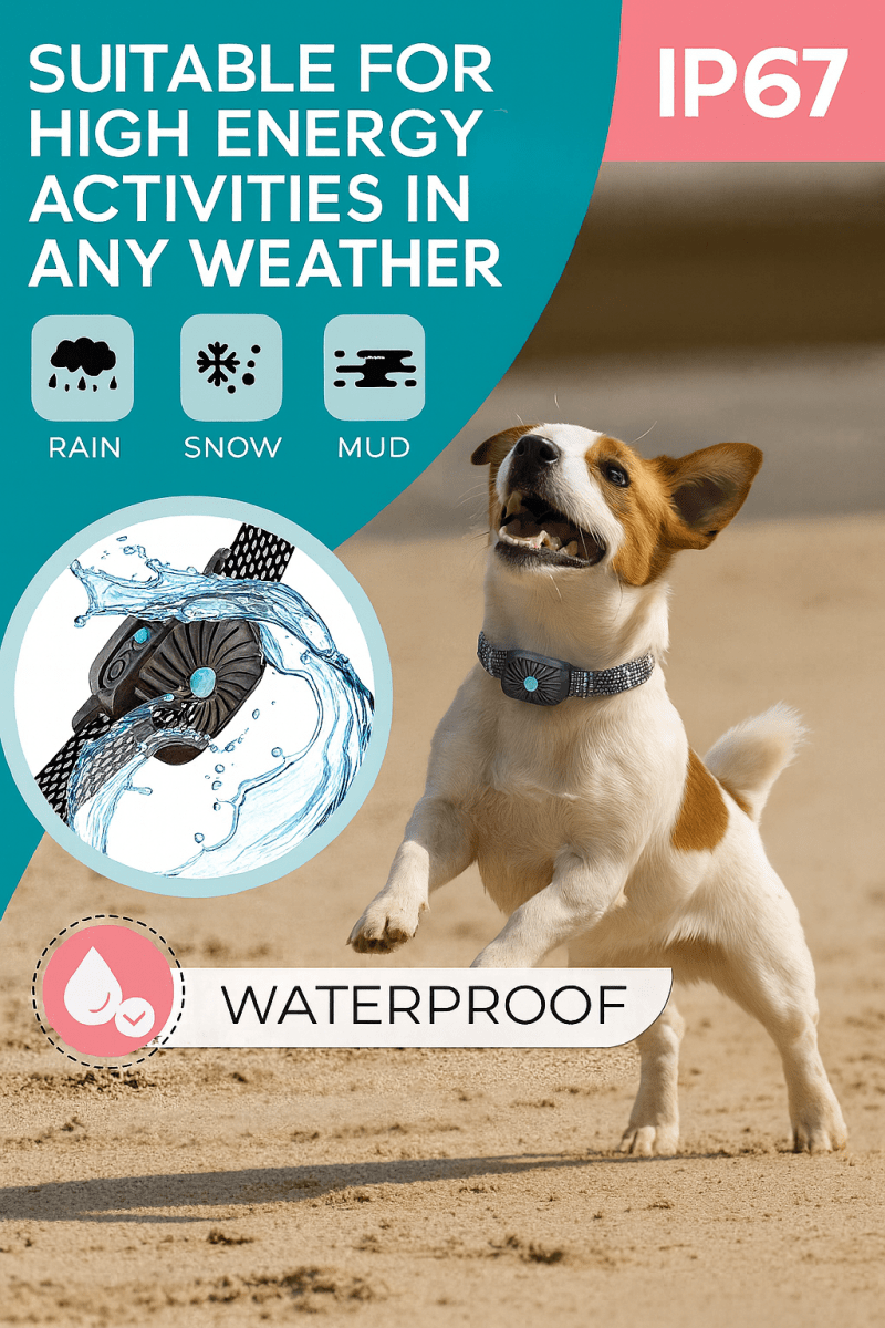 Azura | BarkLess Nano – Gentle Anti-Bark Collar for Puppies & Small Dogs