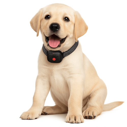 Azura | BarkLess Nano – Gentle Anti-Bark Collar for Puppies & Small Dogs