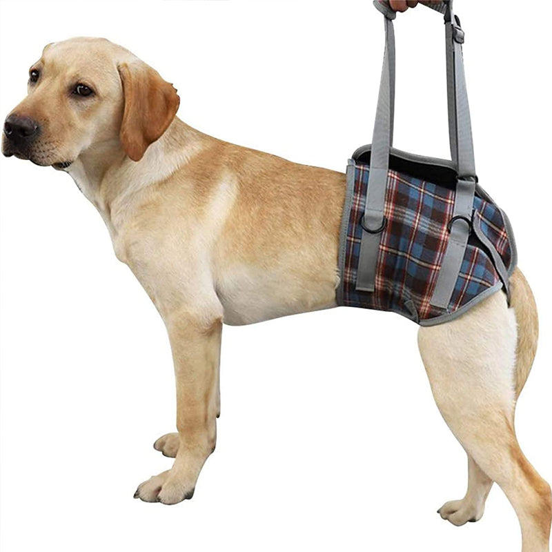 Azura | Orthopedic Rear Leg Support Harness for Dogs – Ideal for Arthritis, Hip Dysplasia & Mobility Aid
