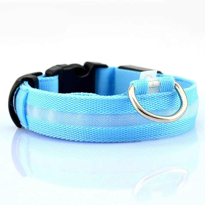 Azura | Luminous Animal Collar with LED Light – Rechargeable, Waterproof, Adjustable Fit for Enhanced Safety at Night