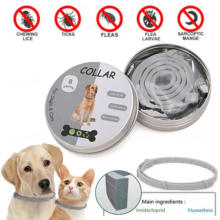 Azura | PAWTECT - Anti-tick and flea collar