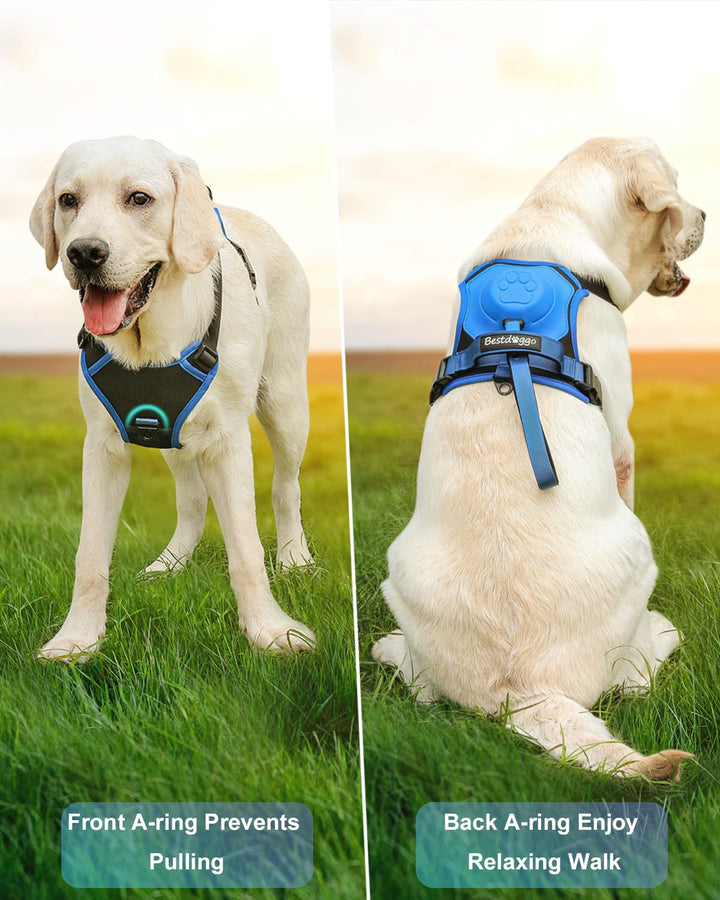 Azura | mamymarket™ - Dog Harness and Retractable Leash Set All-in-One