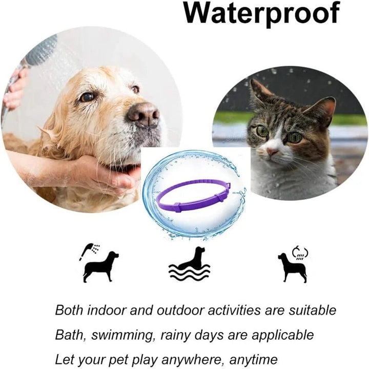 BowLift | Calmdog – Natural Calming Collar for Dogs with Pheromones and Essential Oils
