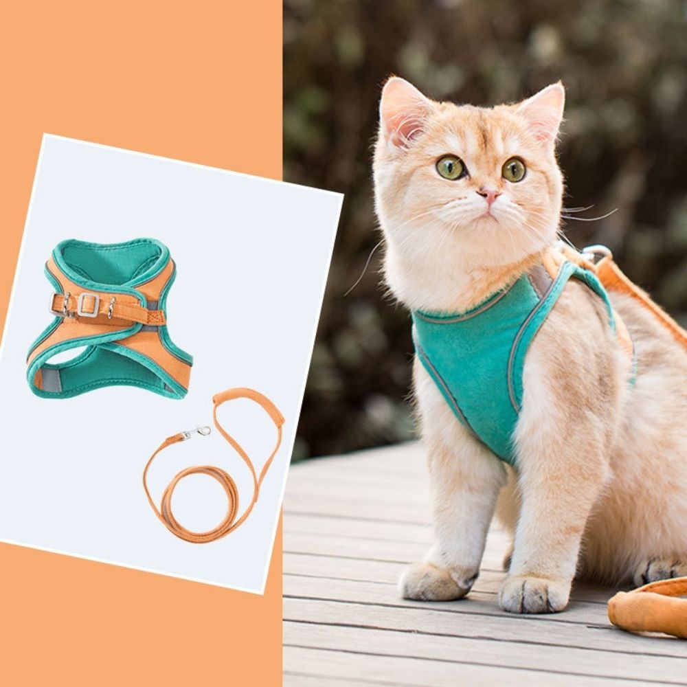 Cat Harness - Oscar Azura