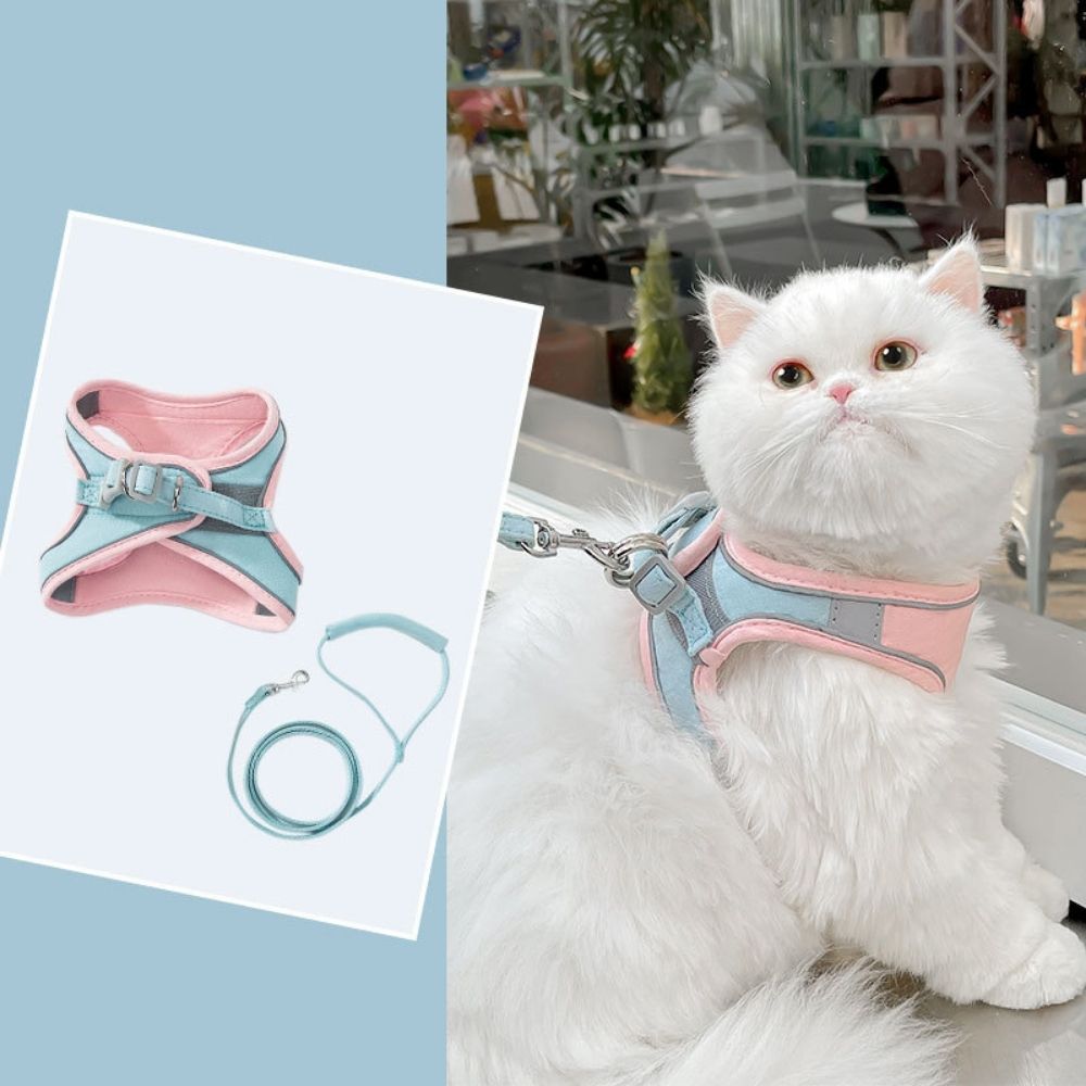 Cat Harness - Oscar Azura