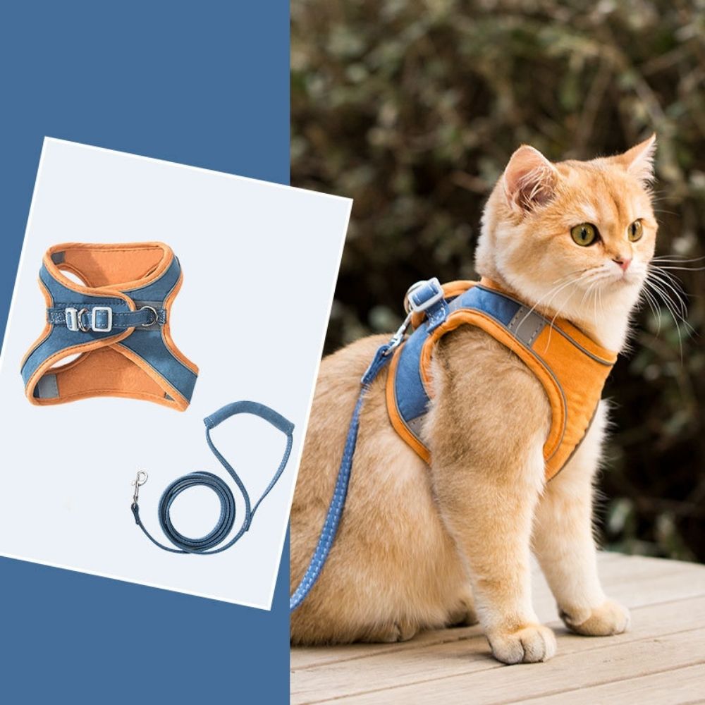 Cat Harness - Oscar Azura