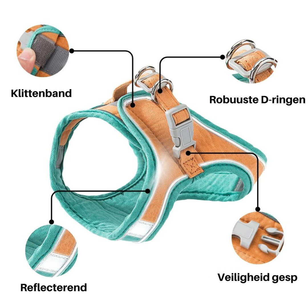 Cat Harness - Oscar Azura