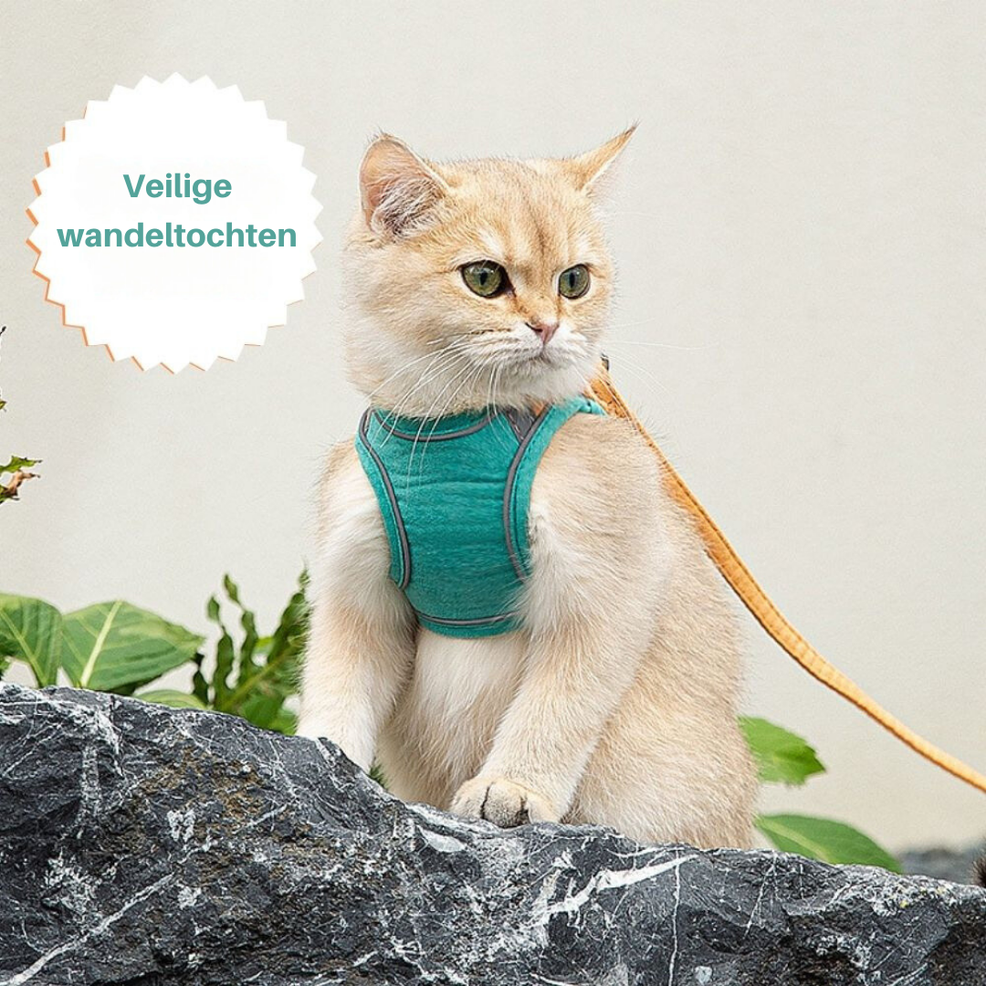 Cat Harness - Oscar Azura